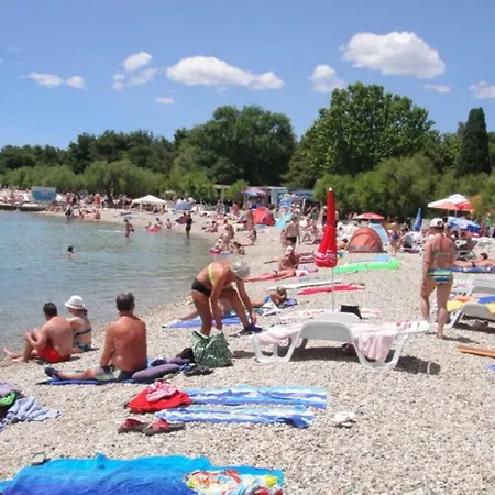 Summer Day Apartament