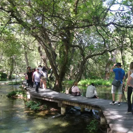 公寓 夏天公寓 沃迪切